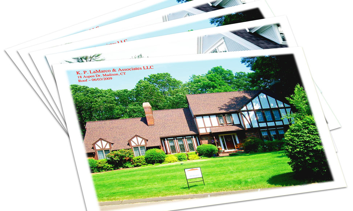 sized – postcard 3
